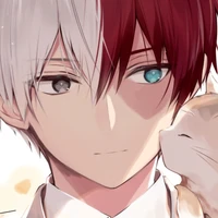 Shoto Todoroki.