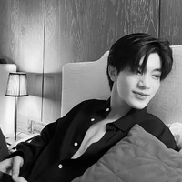 ดาวเหนือ