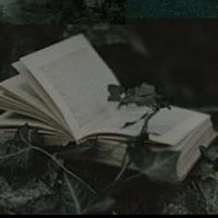 yamileth