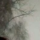 .....