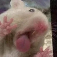 เมว