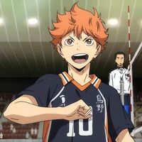 🍊Hinata Shoyo🍊
