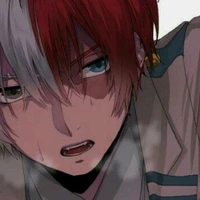 shoto todoroki