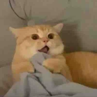 ملل