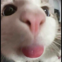 طفش