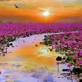 พวกนางเอก