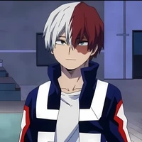 ❄️TODOROKI🔥