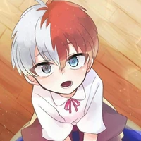 🔥TODOROKI❄️