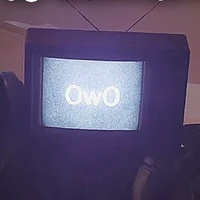 ทีวีวูแมน