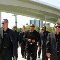 Bodyguard VL