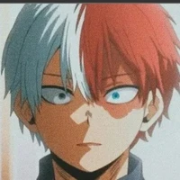 Shoto Todoroki (Alfa)