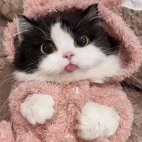 P_ρɾαҽแอดทึ🐾