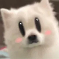 แอดเอง👁️🫦👁️