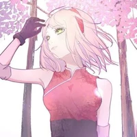 sakura