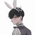 Mr bunny