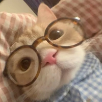 ʟᴀʟɪᴅ