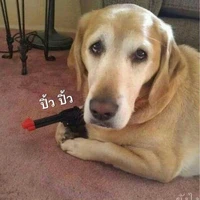แอดดดด