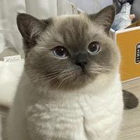 มาลิ