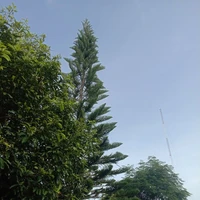 bel sekolah