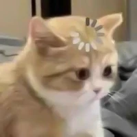 ยัยพูดมากมาเเล้วจร้า