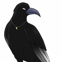 Chika //burung gagak kyo