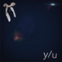 y/n