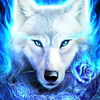 crystal ( loba de Katherine)