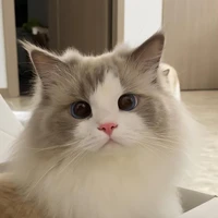 Naji
