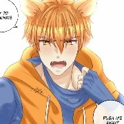 swiper