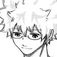 Hide