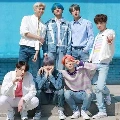 All Member