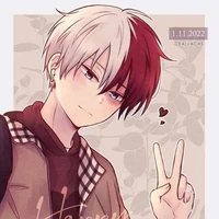 shoto todoroki