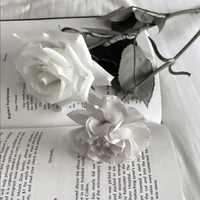 ตปกญ