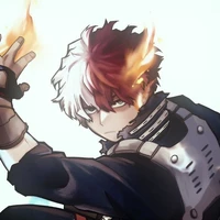 todoroki 