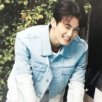 (Jung) mark