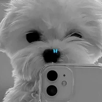 ☾︎♡︎~ Autora ~♡︎☽︎