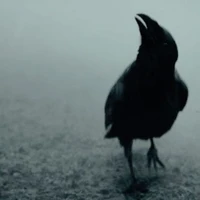 neo