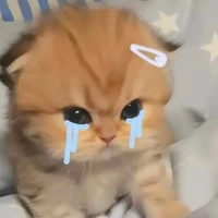 แอด