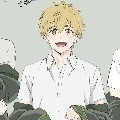 akihiko nirei