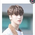 ชาล๊อต(ราชาเเห่งเบริต้า)