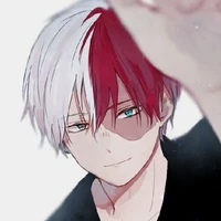 todoroki