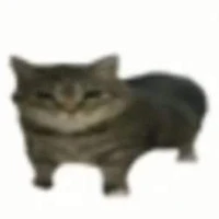 เเอดเอง