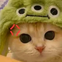 😾