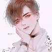 "โฮโกล์ด"พระ
