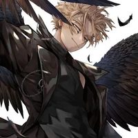 hawks