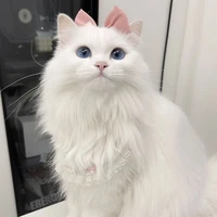 Flufy