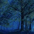 Unknown
