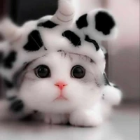 mimi