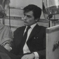 lawyer adams