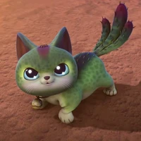 cattus